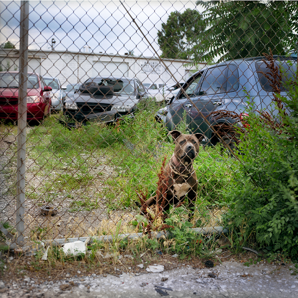 Untitled (East St. Louis, IL), c. 2015–2024